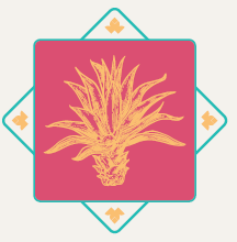 Agave Level
